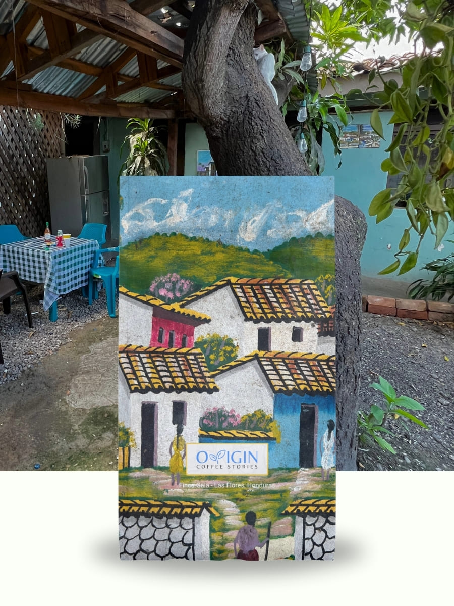 Finca Gaia - Honduras | Filter - Honey