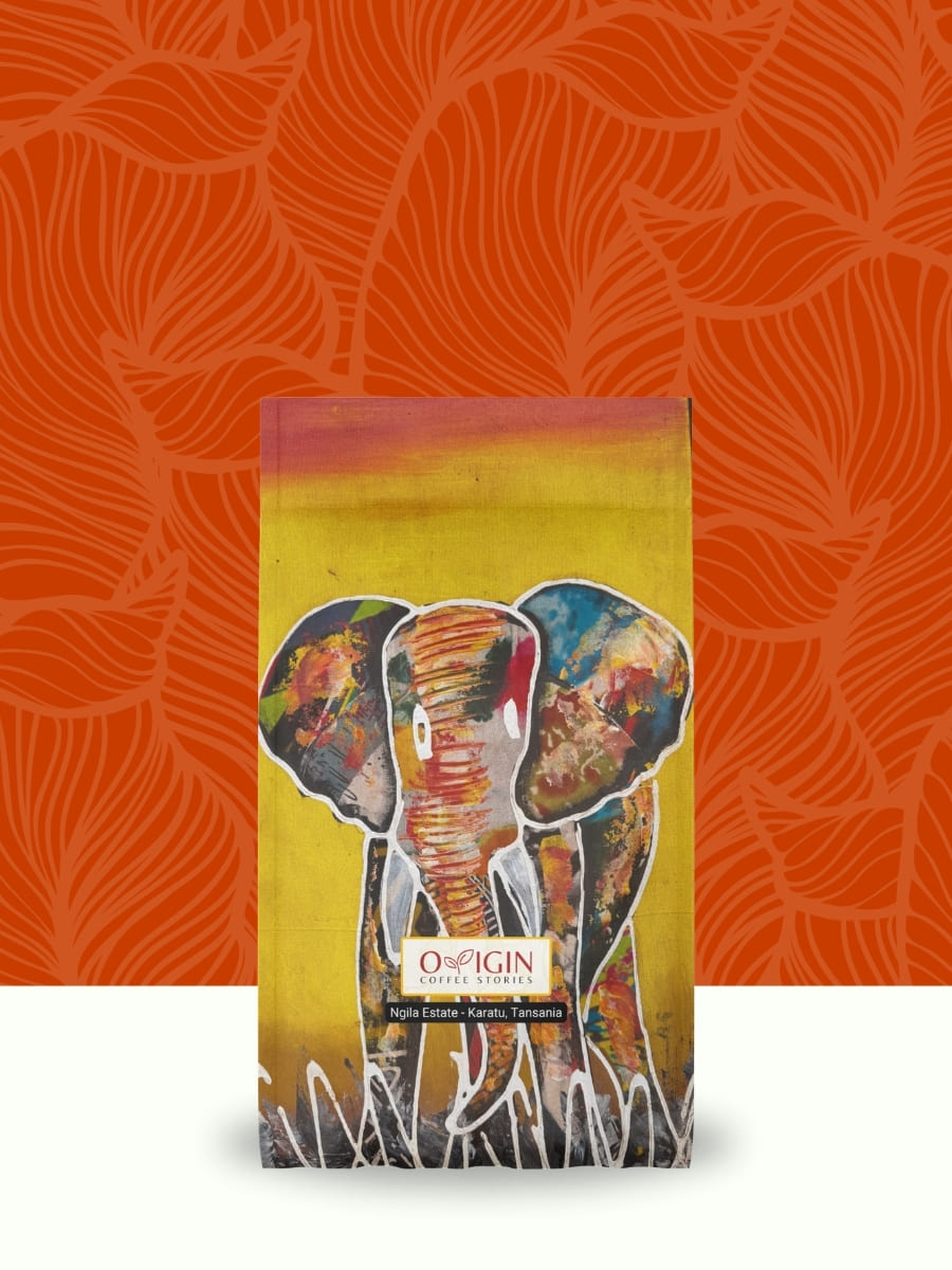 Ngila - Tanzania | Filter
