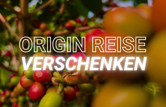 Origin Journey Subscription Gift Voucher