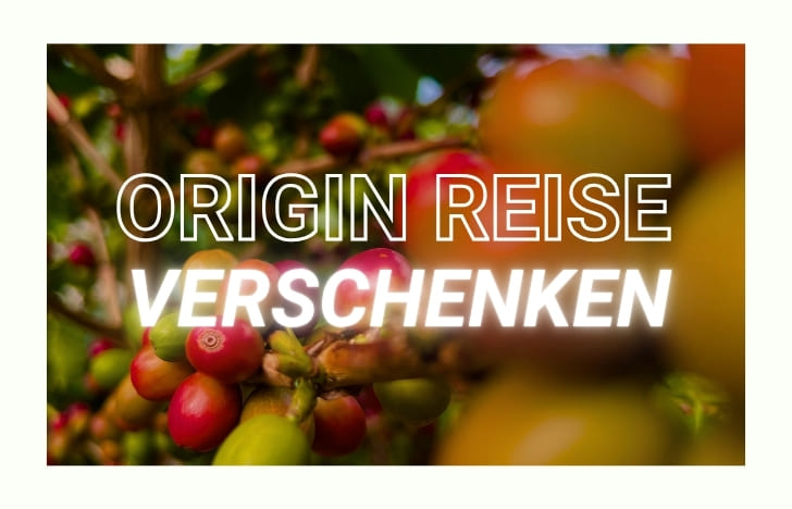 Origin Journey Subscription Gift Voucher
