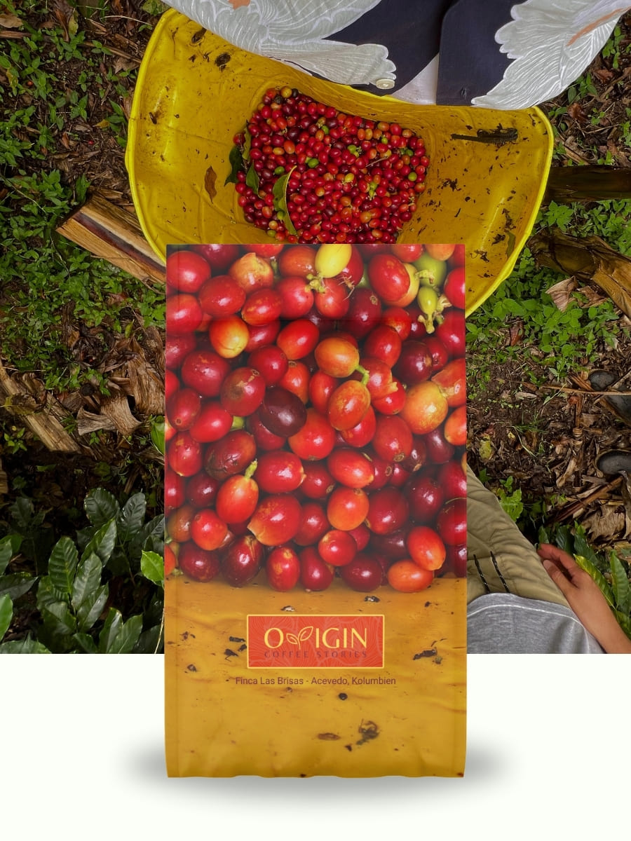 Finca Las Brisas - Colombia - Papayo | Espresso